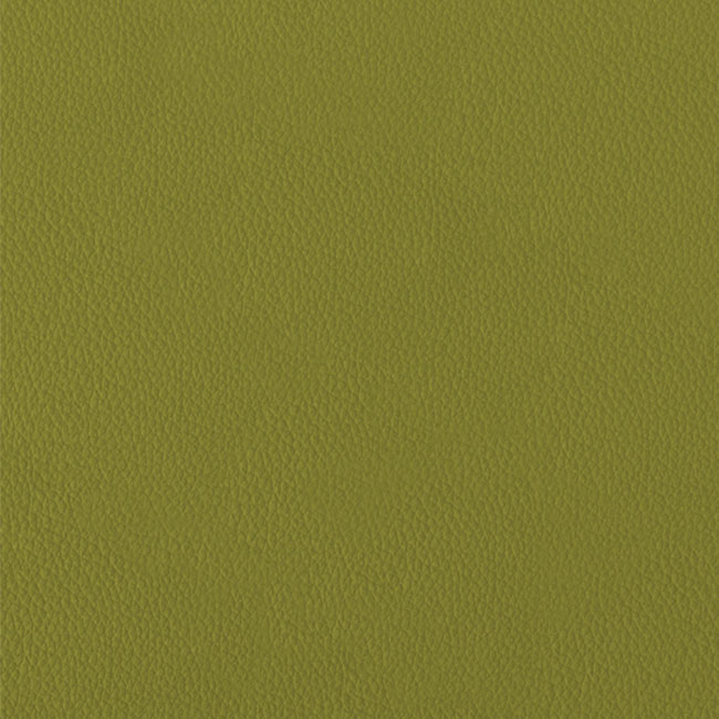 Современная эко-кожа с тонкой фактурой PEAR - материал для обложки фотокниги SOFI