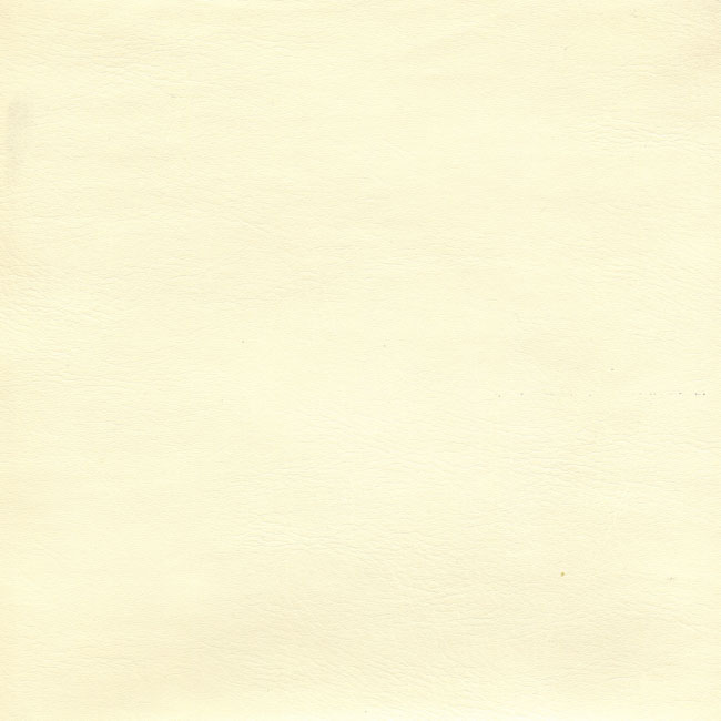 Классический кожзам (с фактурой натуральной кожи) BIEG - материал для обложки фотокниги SOFI